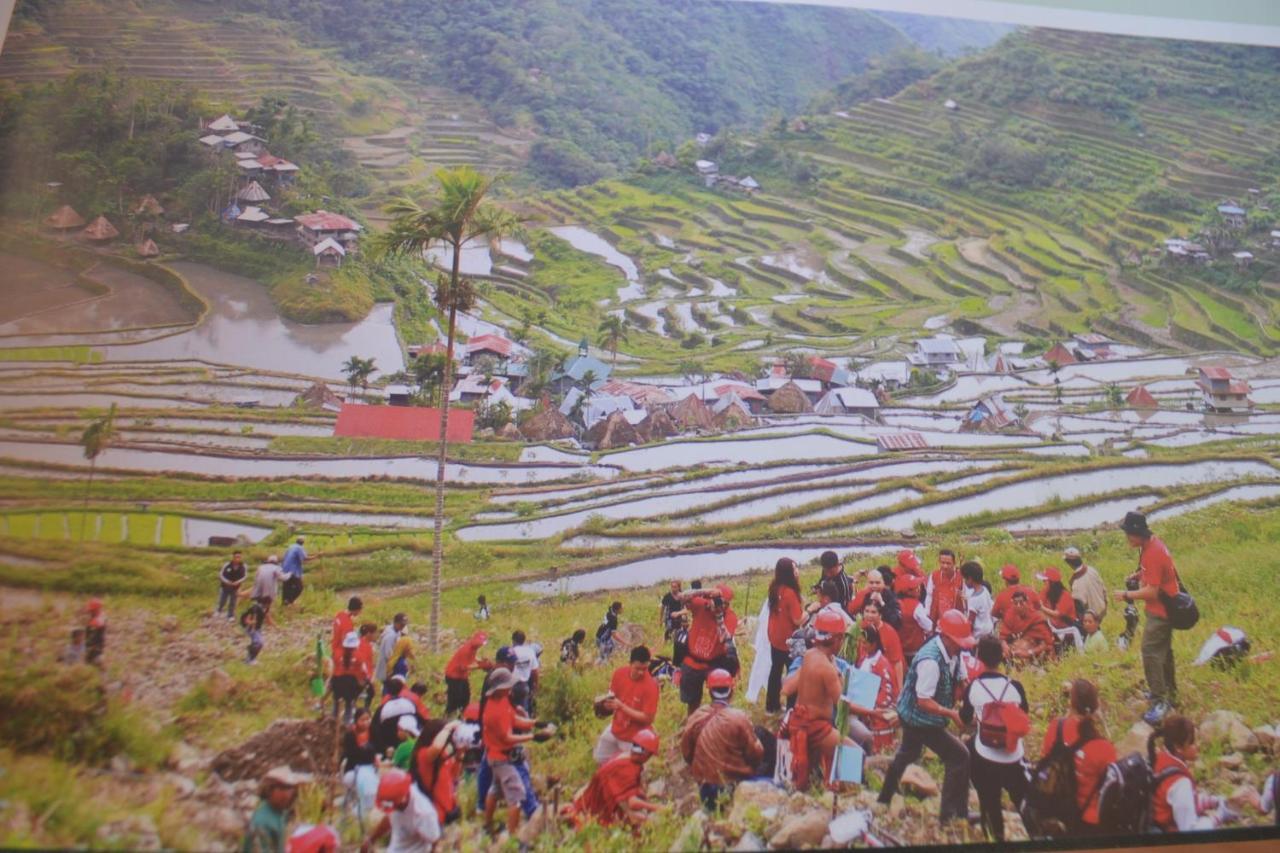 Banaue Evergreen Hostel And Restaurant Экстерьер фото